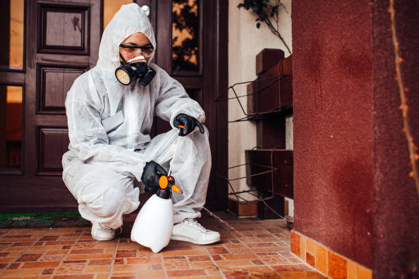 Reliable Cockroach Control contractor in Jupiter, FL by Nex Pest Control